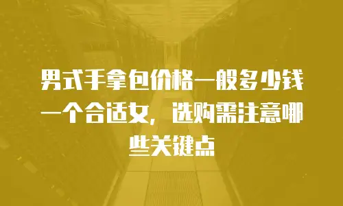 男式手拿包价格一般多少钱一个合适女，选购需注意哪些关键点