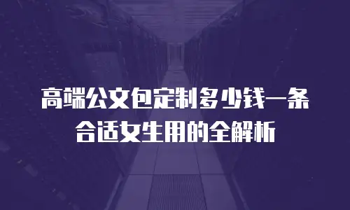 高端公文包定制多少钱一条合适女生用的全解析