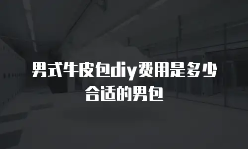 男式牛皮包diy费用是多少合适的男包