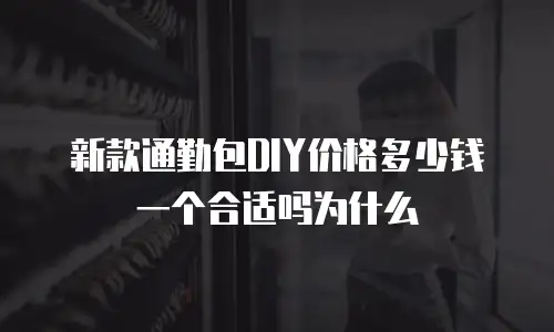 新款通勤包DIY价格多少钱一个合适吗为什么