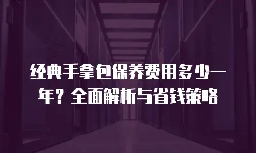 经典手拿包保养费用多少一年？全面解析与省钱策略