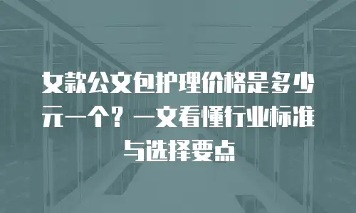 女款公文包护理价格是多少元一个？一文看懂行业标准与选择要点