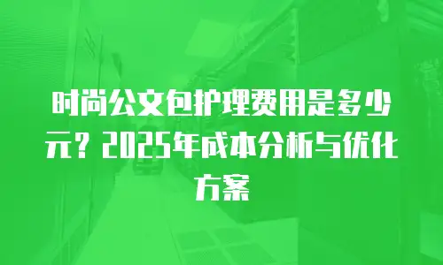时尚公文包护理费用是多少元？2025年成本分析与优化方案
