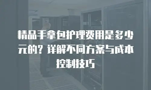 精品手拿包护理费用是多少元的？详解不同方案与成本控制技巧