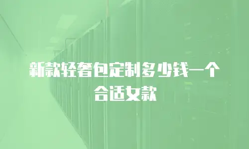 新款轻奢包定制多少钱一个合适女款