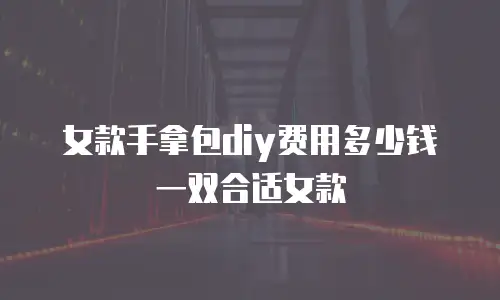 女款手拿包diy费用多少钱一双合适女款