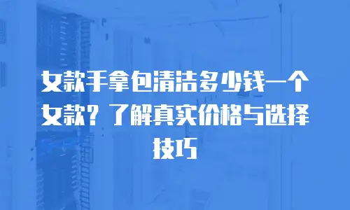 女款手拿包清洁多少钱一个女款？了解真实价格与选择技巧