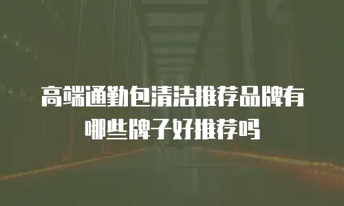 高端通勤包清洁推荐品牌有哪些牌子好推荐吗