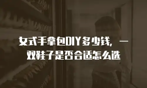 女式手拿包DIY多少钱，一双鞋子是否合适怎么选