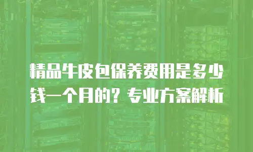 精品牛皮包保养费用是多少钱一个月的？专业方案解析