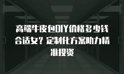 高端牛皮包DIY价格多少钱合适女？定制化方案助力精准投资