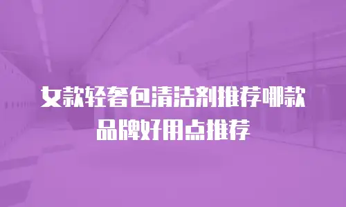 女款轻奢包清洁剂推荐哪款品牌好用点推荐