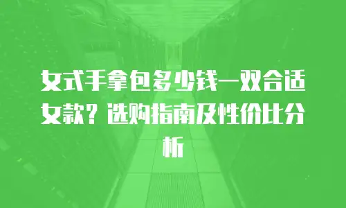 女式手拿包多少钱一双合适女款？选购指南及性价比分析