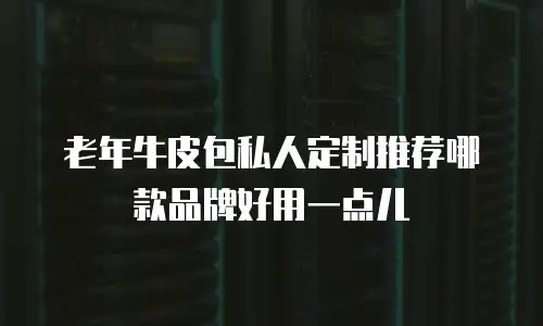 老年牛皮包私人定制推荐哪款品牌好用一点儿