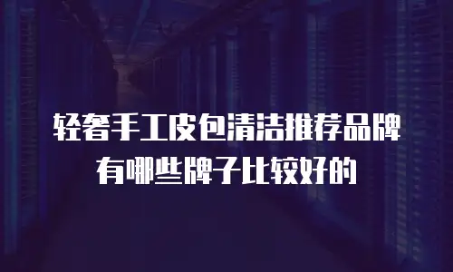 轻奢手工皮包清洁推荐品牌有哪些牌子比较好的