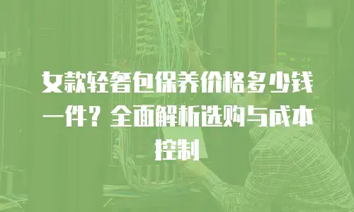 女款轻奢包保养价格多少钱一件？全面解析选购与成本控制