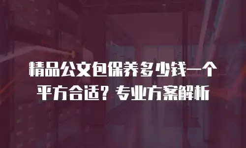 精品公文包保养多少钱一个平方合适？专业方案解析