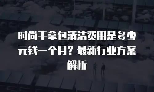时尚手拿包清洁费用是多少元钱一个月？最新行业方案解析