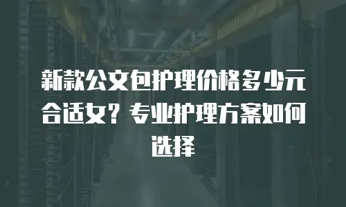 新款公文包护理价格多少元合适女？专业护理方案如何选择