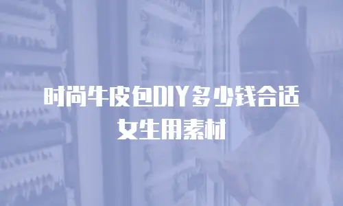 时尚牛皮包DIY多少钱合适女生用素材