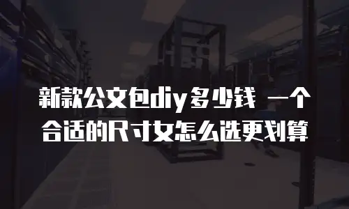 新款公文包diy多少钱 一个合适的尺寸女怎么选更划算