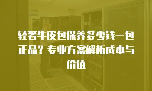轻奢牛皮包保养多少钱一包正品？专业方案解析成本与价值