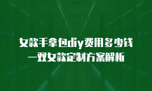 女款手拿包diy费用多少钱一双女款定制方案解析