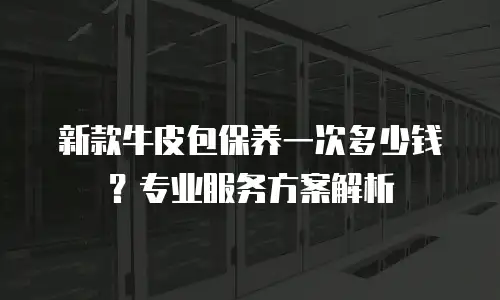 新款牛皮包保养一次多少钱？专业服务方案解析