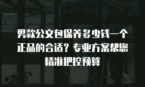 男款公文包保养多少钱一个正品的合适？专业方案帮您精准把控预算