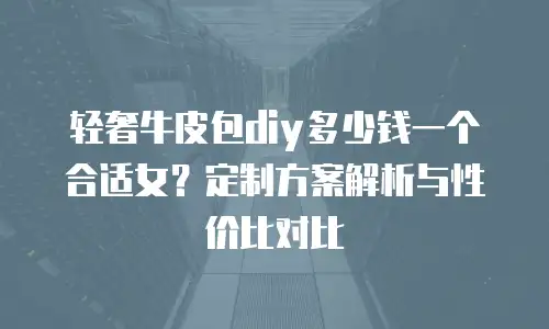 轻奢牛皮包diy多少钱一个合适女？定制方案解析与性价比对比