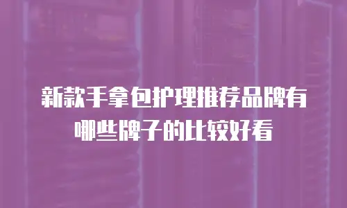 新款手拿包护理推荐品牌有哪些牌子的比较好看