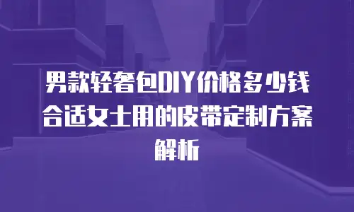 男款轻奢包DIY价格多少钱合适女士用的皮带定制方案解析