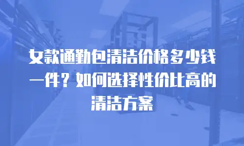 女款通勤包清洁价格多少钱一件？如何选择性价比高的清洁方案