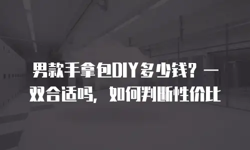 男款手拿包DIY多少钱？一双合适吗，如何判断性价比