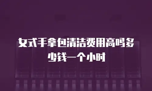 女式手拿包清洁费用高吗多少钱一个小时