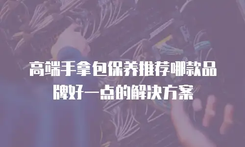 高端手拿包保养推荐哪款品牌好一点的解决方案