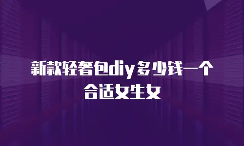新款轻奢包diy多少钱一个合适女生女