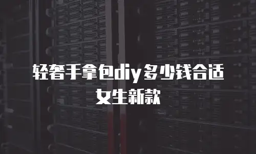 轻奢手拿包diy多少钱合适女生新款
