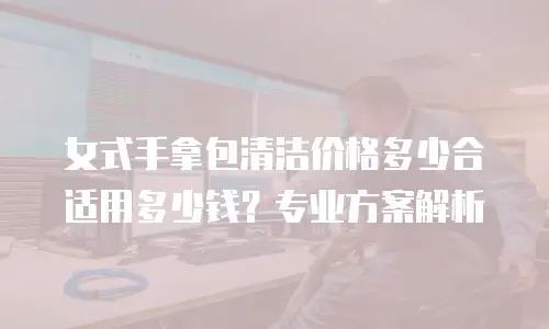 女式手拿包清洁价格多少合适用多少钱？专业方案解析