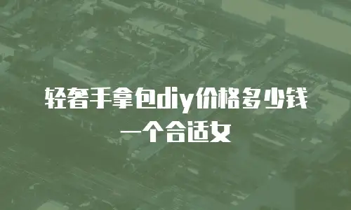 轻奢手拿包diy价格多少钱一个合适女