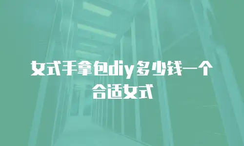 女式手拿包diy多少钱一个合适女式