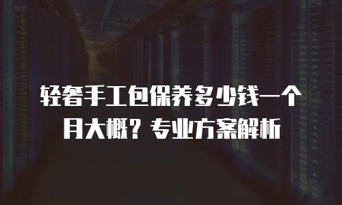 轻奢手工包保养多少钱一个月大概？专业方案解析
