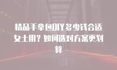 精品手拿包DIY多少钱合适女士用？如何选对方案更划算