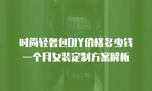 时尚轻奢包DIY价格多少钱一个月女装定制方案解析
