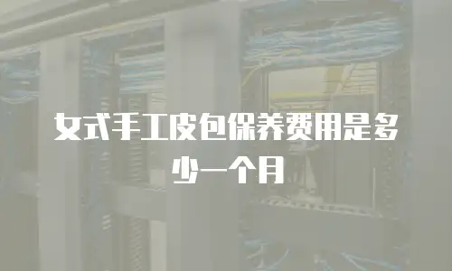 女式手工皮包保养费用是多少一个月