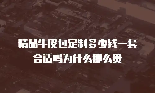 精品牛皮包定制多少钱一套合适吗为什么那么贵