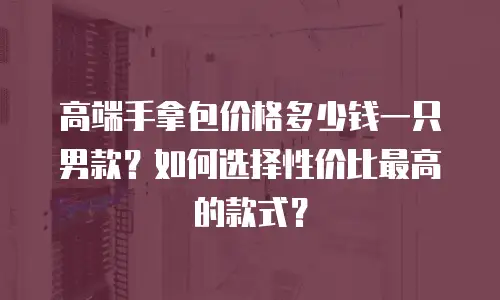 高端手拿包价格多少钱一只男款？如何选择性价比最高的款式？