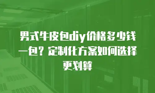 男式牛皮包diy价格多少钱一包？定制化方案如何选择更划算