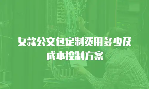 女款公文包定制费用多少及成本控制方案