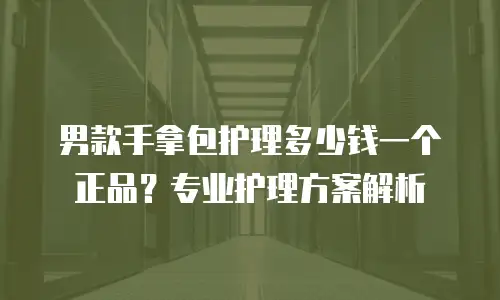 男款手拿包护理多少钱一个正品？专业护理方案解析